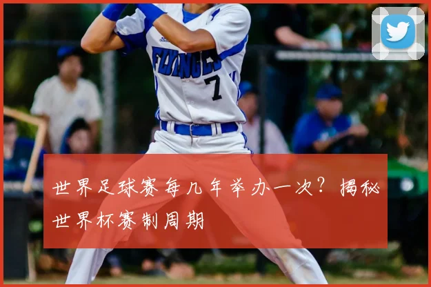 世界足球赛每几年举办一次？揭秘世界杯赛制周期