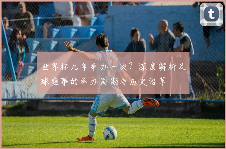 世界杯几年举办一次？深度解析足球盛事的举办周期与历史沿革